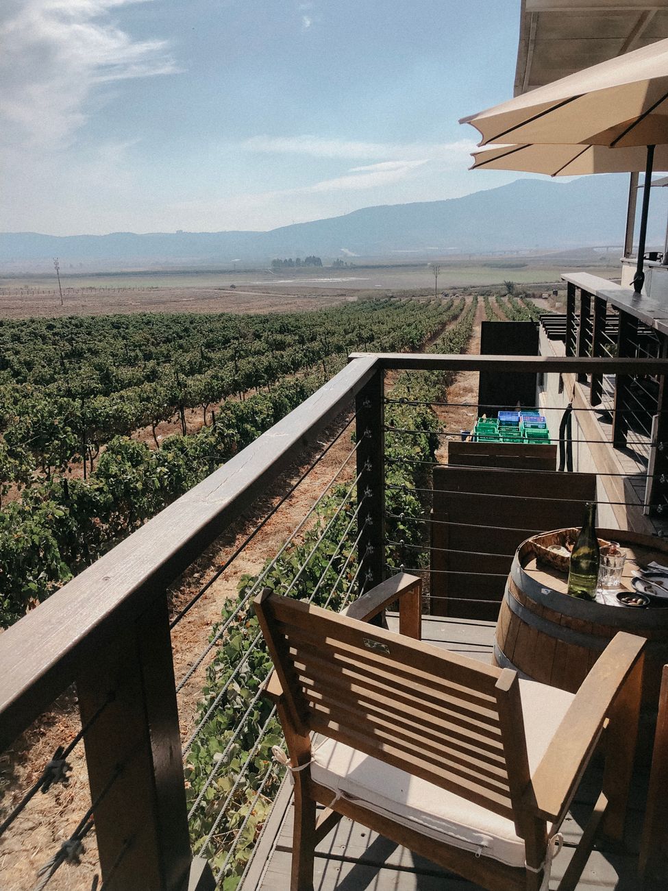 Gastronomy wine residency table